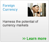 Foreign Currency